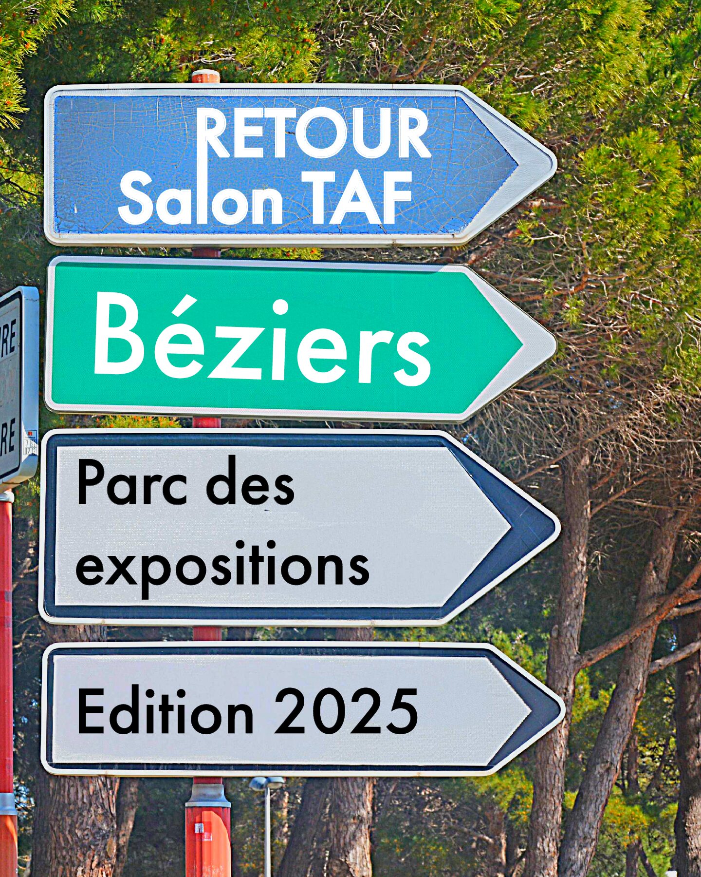 ALFA INTERIM Béziers au Salon TAF : des rencontres, des sourires, et des opportunités !